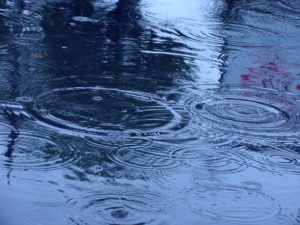 rain drops on water