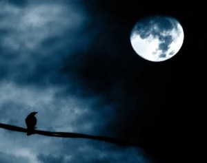 Full moon with crow