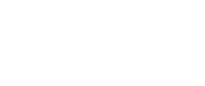 freeflow logo