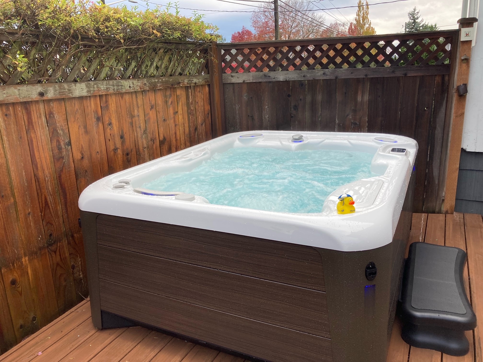 Hot Spring Jetsetter LX | Seattle, WA - Olympic Hot Tub