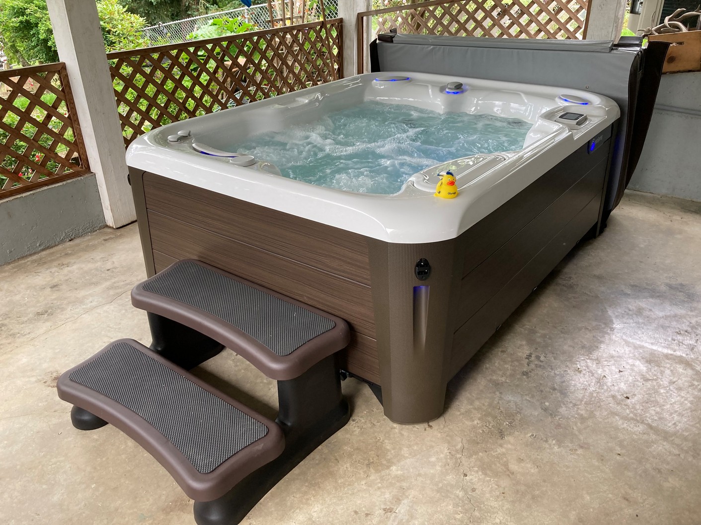 Hot Spring Jetsetter LX Snohomish, WA Olympic Hot Tub